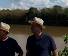 Nova fase do Rio Vivo começa com a soltura de 100 mil peixes no Rio Ivaí, no Noroeste