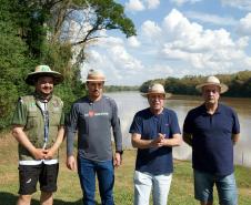 Nova fase do Rio Vivo começa com a soltura de 100 mil peixes no Rio Ivaí, no Noroeste