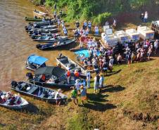 Nova fase do Rio Vivo começa com a soltura de 100 mil peixes no Rio Ivaí, no Noroeste
