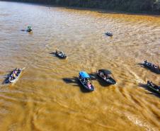 Nova fase do Rio Vivo começa com a soltura de 100 mil peixes no Rio Ivaí, no Noroeste