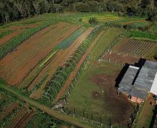 No Noroeste do Paraná, IAT organiza primeiro mutirão para regularização do CAR