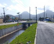 Matinhos: IAT finaliza reflorestamento do Canal da Avenida Paraná com 576 manacás-da-serra