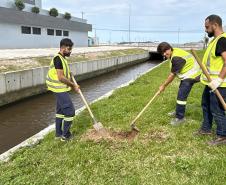 Matinhos: IAT finaliza reflorestamento do Canal da Avenida Paraná com 576 manacás-da-serra