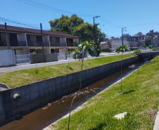 Matinhos: IAT finaliza reflorestamento do Canal da Avenida Paraná com 576 manacás-da-serra