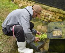 Banco de alimentos: parceria entre IAT e Ceasa ajuda a matar a fome de animais silvestres