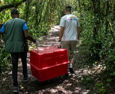 Foto de equipe responsável por devolver o tamanduá