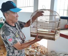 IAT apreendeu cativeiro com 33 aves irregulares em Paranavaí, no Noroeste do Paraná