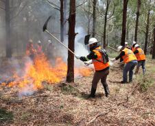 Foto de brigadistas voluntários combatendo incêndio