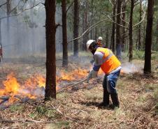 Foto de brigadistas voluntários combatendo incêndio
