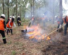 Foto de brigadistas voluntários combatendo incêndio