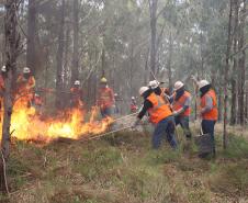 Foto de brigadistas voluntários combatendo incêndio