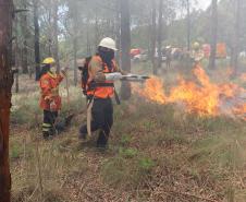 Foto de brigadistas voluntários combatendo incêndio