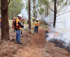 Foto de brigadistas voluntários combatendo incêndio