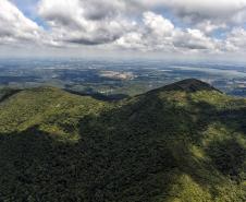 Foto aérea de parque