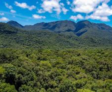 Estado atualiza procedimentos do ICMS Ecológico; 59% das cidades recebem o benefício
