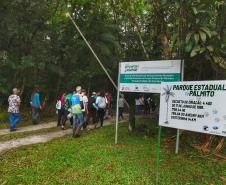 AÇÃO VOLUNTÁRIA