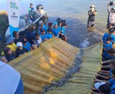 Foto de ação de soltura de peixes