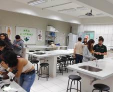 IAT promove ações de educação ambiental para estudantes em Foz do Iguaçu