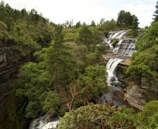 Foto de paisagem natural do Paraná