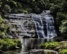 Foto de paisagem natural do Paraná