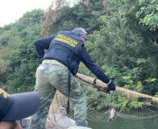 Foto de operação de fiscalização da Piracema