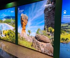 Foto de estande do Governo do paraná na exposição