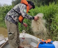 Foto de operação de fiscalização de pesca predatória