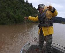 Foto de operação de fiscalização de pesca predatória