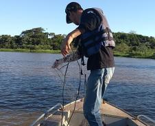 Foto de operação de fiscalização de pesca predatória