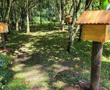Foto de abelhas do Poliniza Paraná