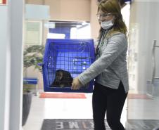 Foto de veterinários atendendo animais