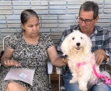 CastraPet Paraná fecha o 4º ciclo