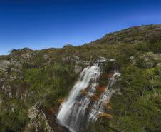 Foto de paisagem verde do Paraná