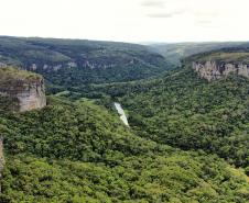Foto de paisagem verde do Paraná