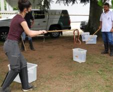 IAT alcança 1.485 voluntários com formação de nova turma de brigadistas