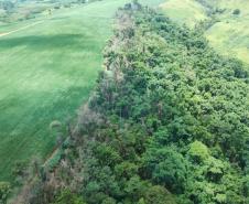 vIAT identificou 478 hectares de área de vegetação danificada por fogo em quatro fazendas de Ribeirão Claro, no Norte Pioneiro
