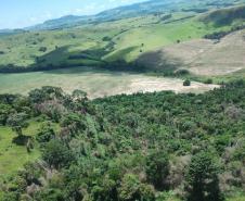vIAT identificou 478 hectares de área de vegetação danificada por fogo em quatro fazendas de Ribeirão Claro, no Norte Pioneiro