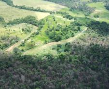 vIAT identificou 478 hectares de área de vegetação danificada por fogo em quatro fazendas de Ribeirão Claro, no Norte Pioneiro