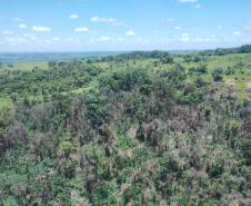 vIAT identificou 478 hectares de área de vegetação danificada por fogo em quatro fazendas de Ribeirão Claro, no Norte Pioneiro