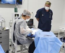 Foto de macacos passando por avaliação médica