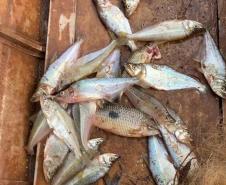 Foto de operação de fiscalização de pesca