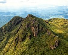 Foto de paisagem verde do Paraná