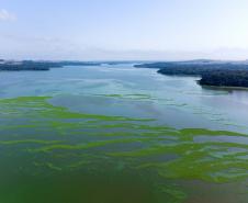 Foto de rio com algas