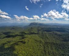 Foto de paisagem verde do Paraná