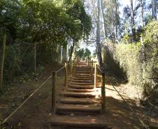 Foto de parque urbano paranaense