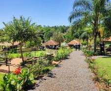 Foto de paisagem dos parques do Paraná