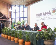 Foto de evento de arborização urbana