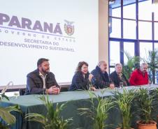 Foto de evento de arborização urbana