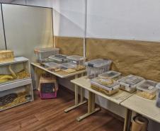 Foto de animais resgatados na sede do IAT