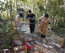 Foto de animais resgatados na sede do IAT